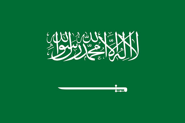 pakistan maize exporters to Saudia Arabia