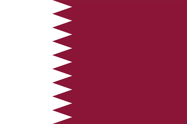 pakistan maize exporters to qatar